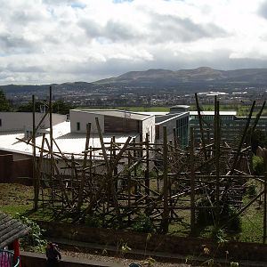 Budongo Trail from the Sky Walk