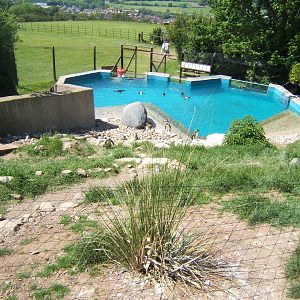 Penguin enclosure view