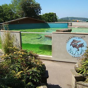 Sealion enclosure