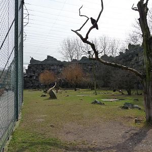 View into the Aviary