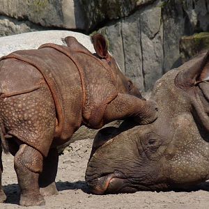 Mom, play with me...