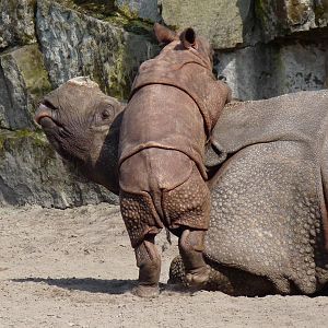 Kids can be a Punishment...