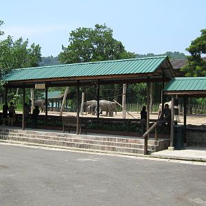 elephant enclosure