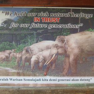 banner by the elephant enclosure