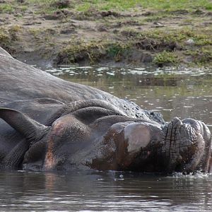 Time to get up, now ?