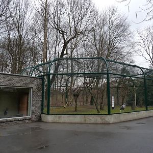 Aviary for Secretary birds