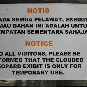 disclaimer on clouded leopard cage