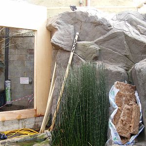 New enclosure for Sri Lankan giant squirrels at RSCC, 2 April 2010