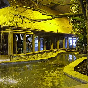 Tropical House at Blackbrook 03/04/10