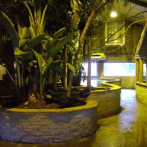 Tropical House at Blackbrook 03/04/10