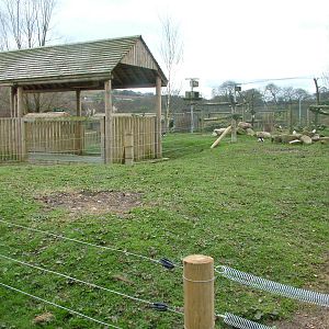 Future Warty Pig exhibit at Blackbrook 03/04/10
