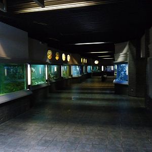 Zoo-Aquarium Berlin