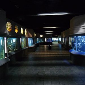 Zoo-Aquarium Berlin