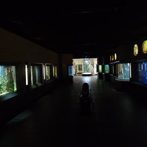 Zoo-Aquarium berlin