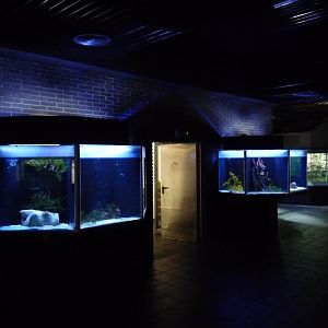 Zoo-Aquarium Berlin