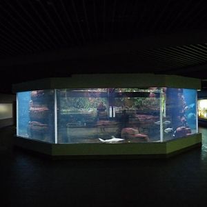 Zoo-Aquarium Berlin
