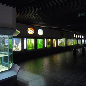 Zoo-Aquarium Berlin
