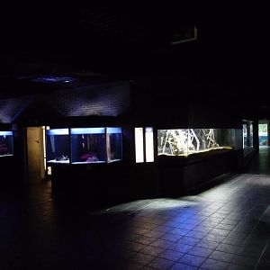 Zoo-Aquarium Berlin