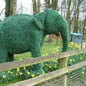 Elephant topiary near African elephant enclosure at Howletts Wild Animal Pa