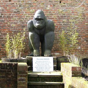 Statue of Gugis the gorilla at Howletts Wild Animal Park, 3 April 2010