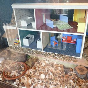 House Mouse Doll House