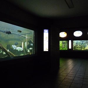 Zoo-Aquarium Berlin