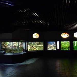 Zoo-Aquarium Berlin