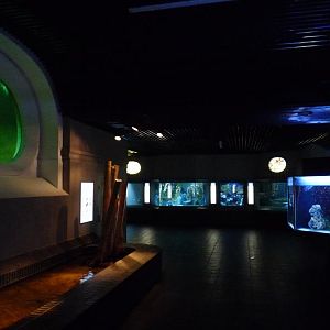 Zoo-Aquarium Berlin