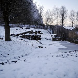 Cold in the zoo - Brownbear enclosure