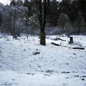 Cold in the zoo - Brownbear enclosure