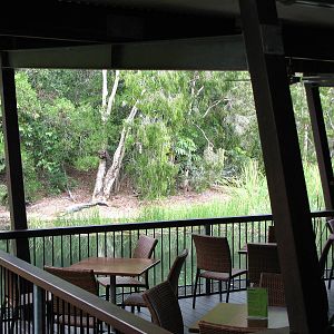 Hartleys Crocodile Adventures 2007 - View to Hartleys Lagoon from the resta