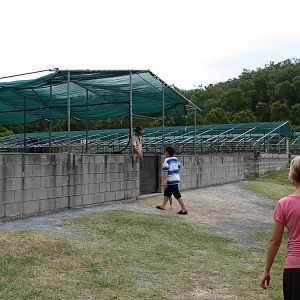 Hartleys Crocodile Adventures 2007 - Outer walls of the crocodile farm pens