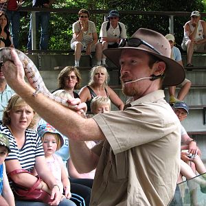 Hartleys Crocodile Adventures 2007 - Reptile Show