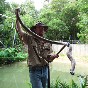 Hartleys Crocodile Adventures 2007 - Reptile Show