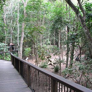 Hartleys Crocodile Adventures 2007 - Boardwalk in front of the Cassowary en