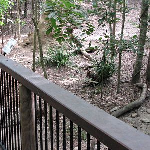 Hartleys Crocodile Adventures 2007 - Wallaby enclosure