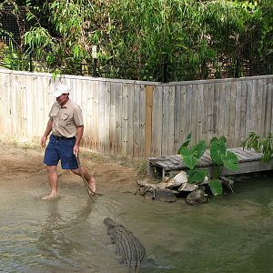 Hartleys Crocodile Adventures 2007 - Typical daredevil Crocodile show