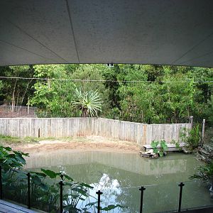Hartleys Crocodile Adventures 2007 - Reptile show amphitheatre