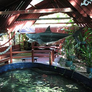 Marineland Melanesia 2007 - Mixed concrete turtle pool