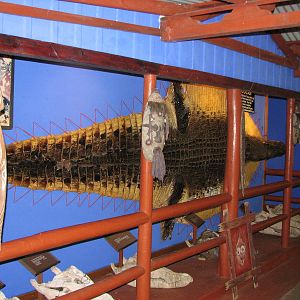 Marineland Melanesia 2007 - The legend of Oscar lives on