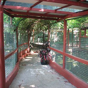 Marineland Melanesia 2007 - Passage between Crocodile enclosures