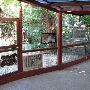 Marineland Melanesia 2007 - The home of Cassius the giant crocodile
