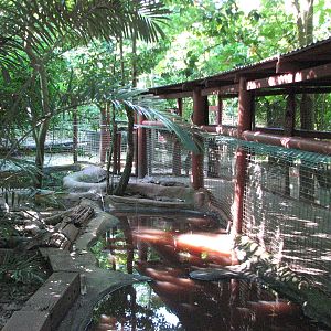 Marineland Melanesia 2007 - Part of a typical crocodile enclosure