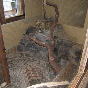 Degu enclosure