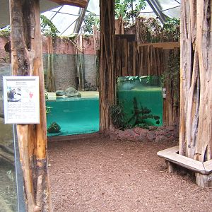Indoor Giant Otter enclosure and Piranha Tank