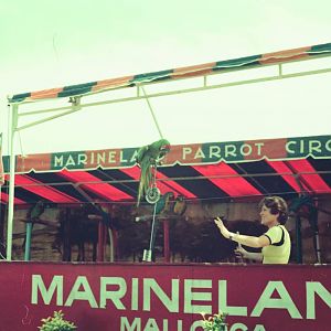 Marineland Mallorca Circa 1975 - Parrot Show