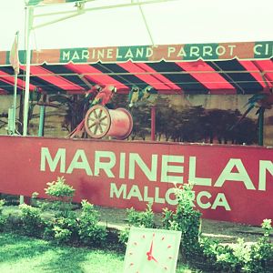 Marineland Mallorca Circa 1975 - Parrot Show