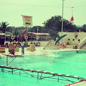 Marineland Mallorca Circa 1975 - Dolphin Show