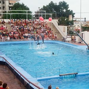 Marineland Mallorca 1989 - Dolphin Show
