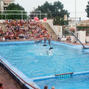 Marineland Mallorca 1989 - Dolphin Show